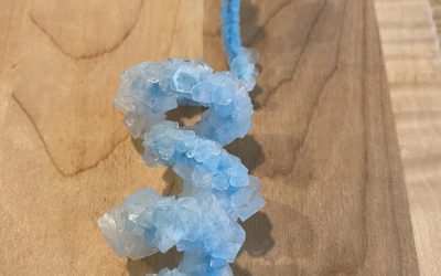 Crystallized Pipecleaner Ornaments