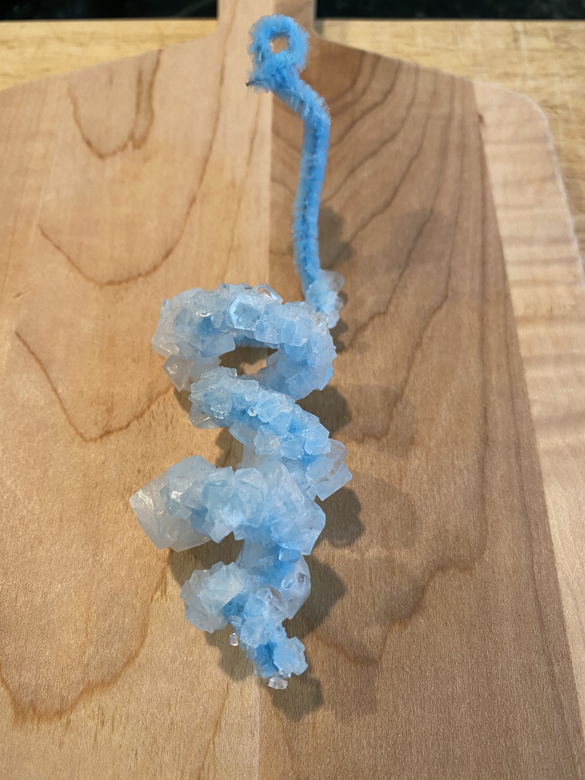 Crystallized Pipecleaner Ornaments